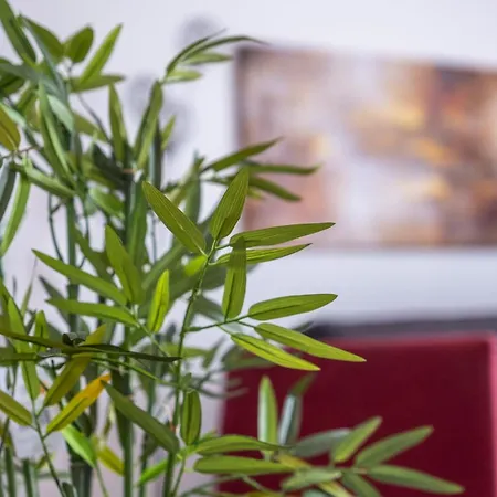 Апартаменты Les Balcons De St Martin 1 Периго