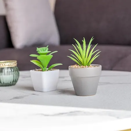 公寓 Les Balcons De St Martin 1 佩里格